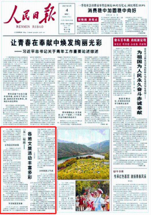 小猫钓鱼正版下载中文版